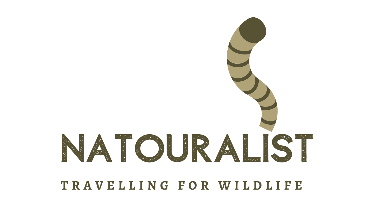 Natouralist