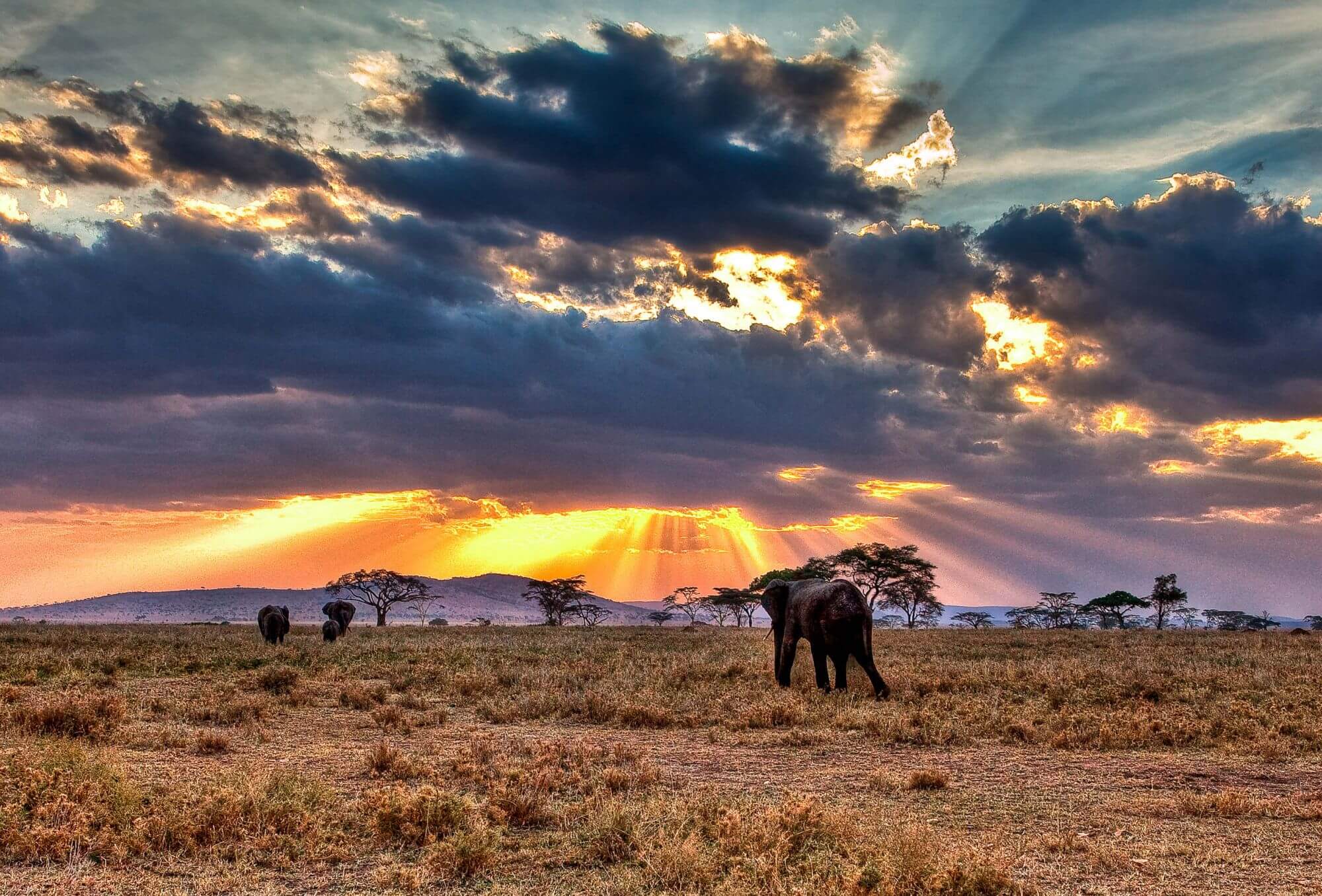 safari serengeti reisezeit